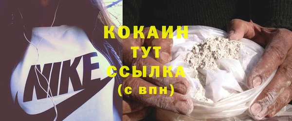 прущие грибы Михайловка
