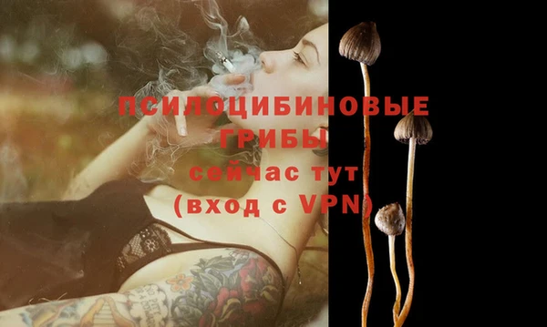 прущие грибы Михайловка