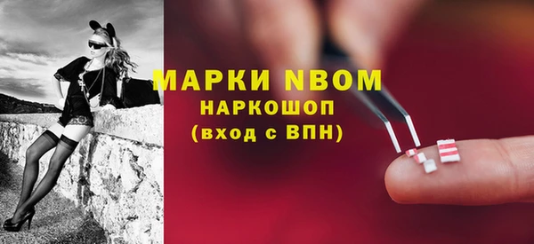 прущие грибы Михайловка