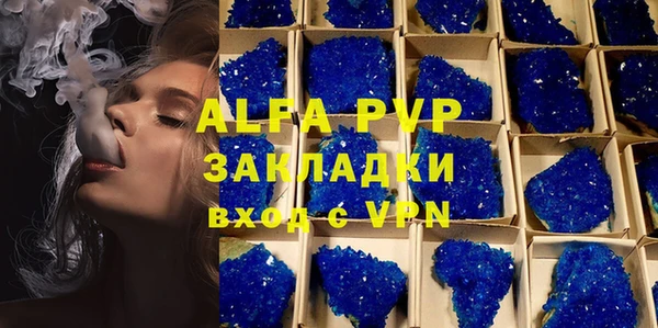 прущие грибы Михайловка