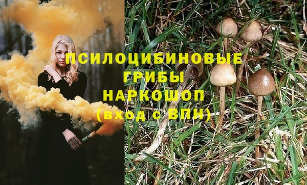 прущие грибы Михайловка