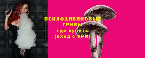 бошки Михайловск