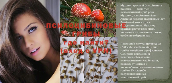 герыч Михайлов