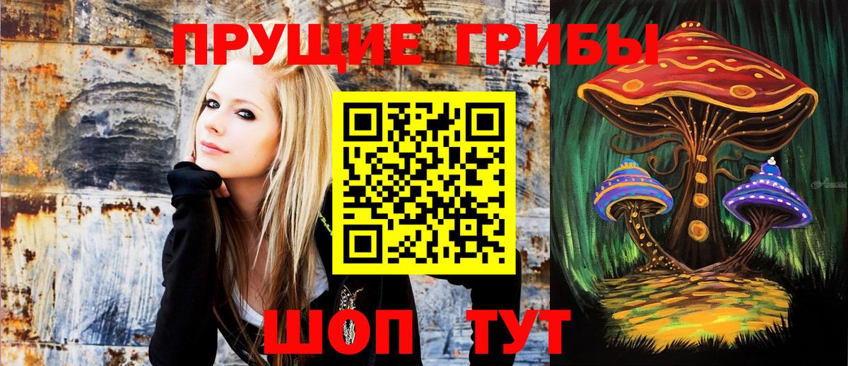 Отрадное  Псилоцибиновые грибы мицелий  Вход с VPN  Галлюциногенные грибы Magic Shrooms 