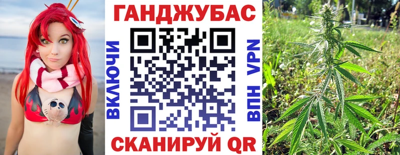 Канабис сатива  где продают наркотики  Отрадное 